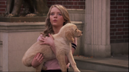 Summer holding a puppy. (Puppy Love)