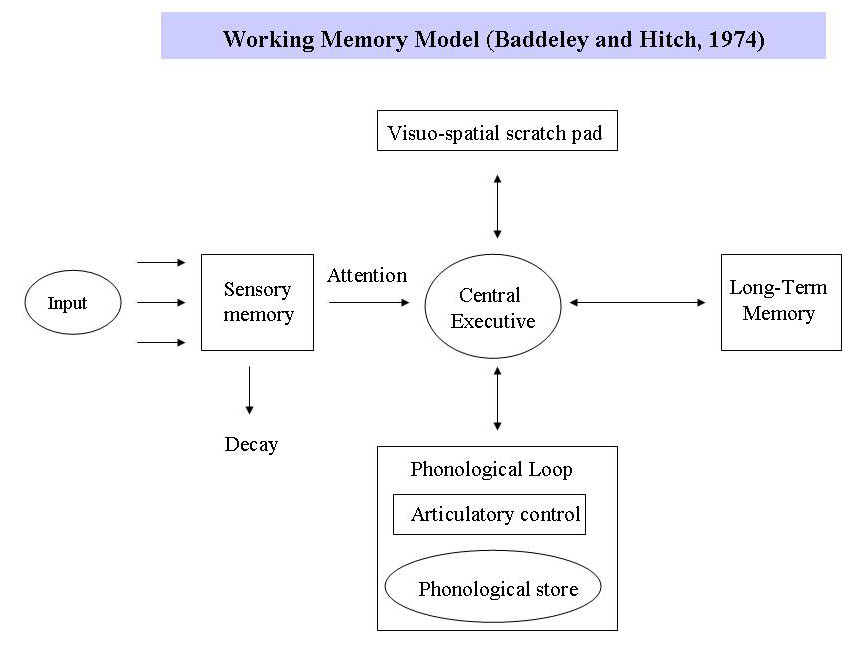 Baddeley working memory model sales