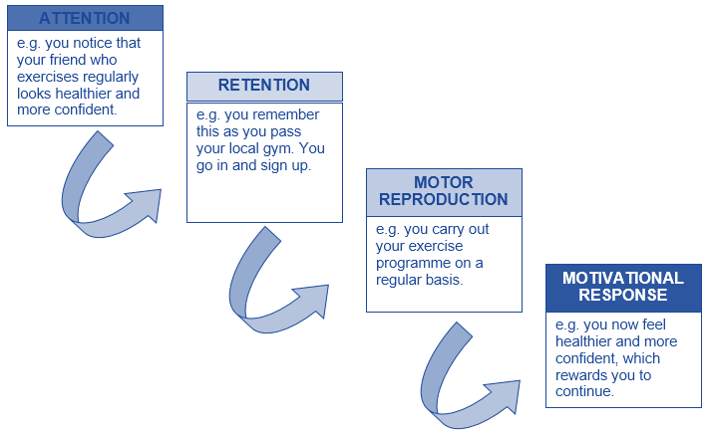 observational learning process