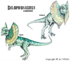 Dilophosaurus Male and Female