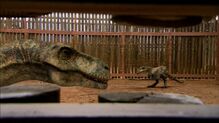 T-Rex Returns Episode 1: Terrance and Matilda in the Observation Pen