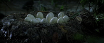 Velicoraptor Eggs (Jurassic Park III)