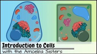 Introduction_to_Cells_The_Grand_Cell_Tour