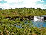 New Caledona (Late Triassic Period)