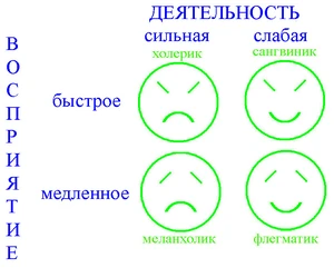 Четыре основных темперамента в зависимости от силы и скорости процессов  (сильная, слабая) и  (быстрое, медленное)
