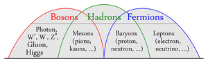 Bosons-Hadrons-Fermions-01-goog