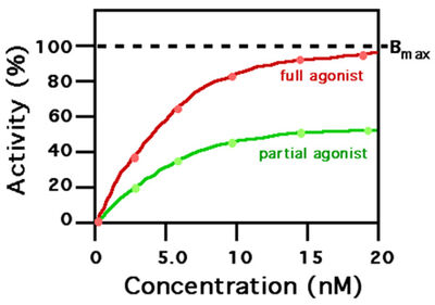 Agonist 2(1)