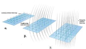 DimentionsExtra-goog