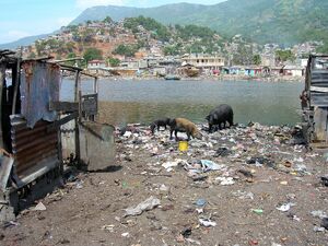 Waste dumping in a slum of Cap-Haitien