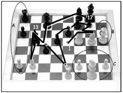 Eye movements of a chess champion nc