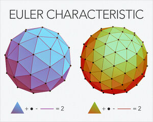 Characteristic-Euler-01-goog