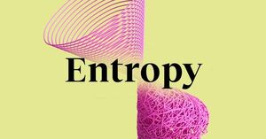 Quantities-Entropy-Complexicity-01-goog