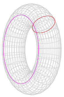 Torus-06-goog