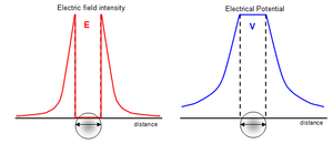 Fields-Electric-10-goog