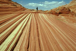  μελετά ενδιαφέρον 