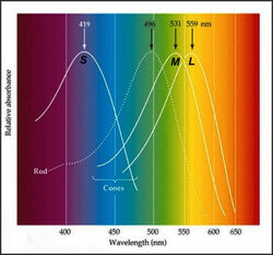 Light spectra(1)