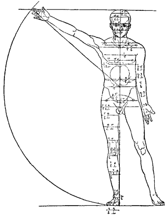 Anatomiya Cheloveka Nauka Fandom