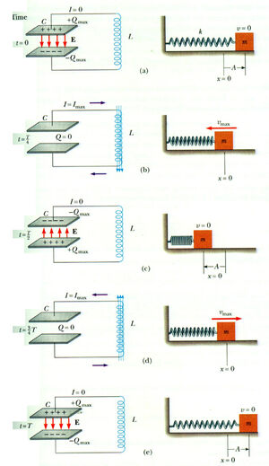 Spring-Capacitor-01-goog