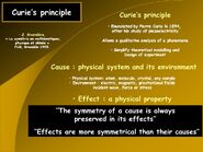 Principles-Curie-01-goog