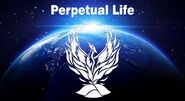 Perpetual-Life-01-goog