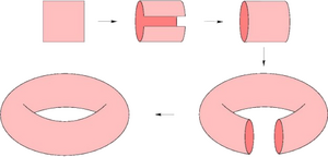 Evolution-Square-Torus-01-goog