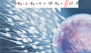 Laws-integrals-double-01-goog