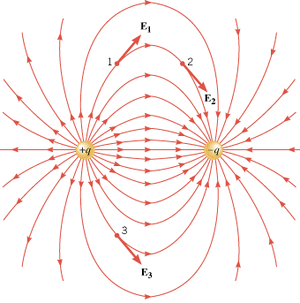 Entities-Electric-Field-01-goog