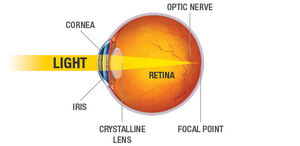 Eye-Optic-Ray-01-goog