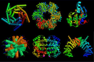 Proteins-02-goog