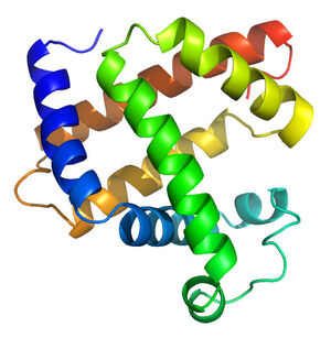 Proteins-04-goog