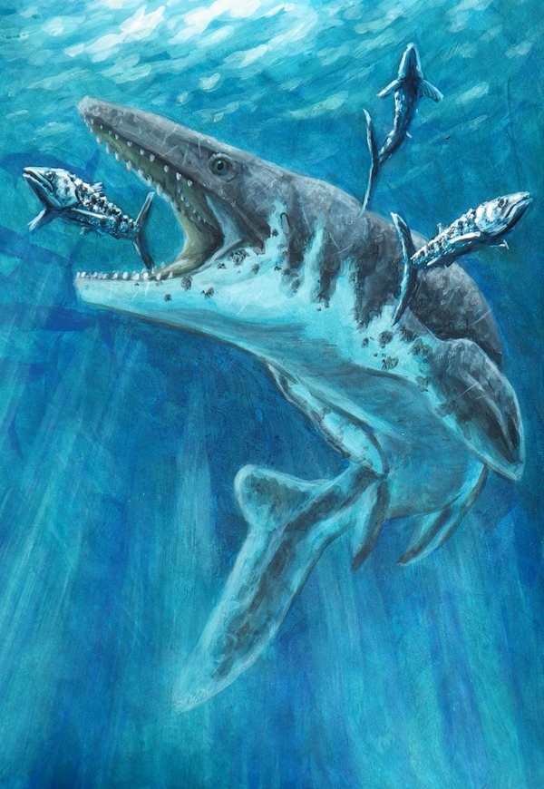 Тилозавр. Мозазавр. Tylosaurus proriger. Динозавры морские Мозазавр.