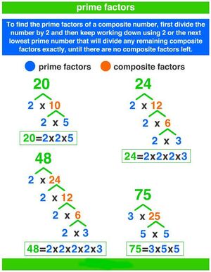 Prime-factorization-02-goog