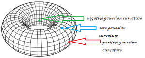 Torus-curvature-01-goog