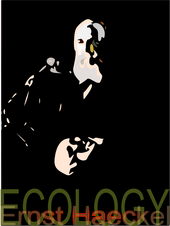 Эрнст Геккель — экологический плакат