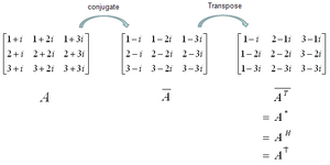 Matrices-10-goog