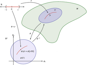 Curves-chart-10-goog