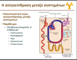 Bio-Complexicity-01-goog