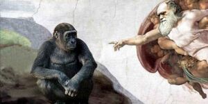 Evolution-Ape-God-goog