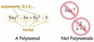 Polynomials-01-goog