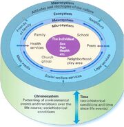 System-Theory-04-goog.jpg