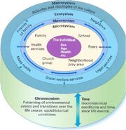 System-Theory-04-goog