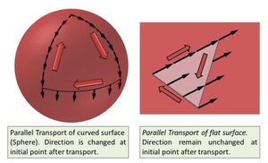 Parallel-transport-02-goog