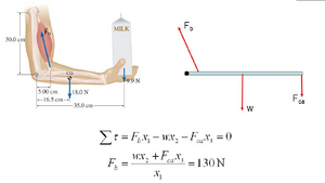 Static-Equilibrium-03-goog