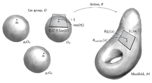 Manifolds-Lie-Action-01-goog