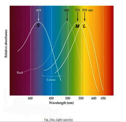 Light spectra++