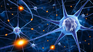 Brain-Neurons-01-goog