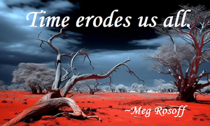 Quotes-Rosoff-Time-Erodian-01-goog