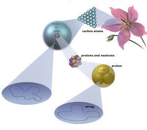 String-Theory-Cosmus-01-goog