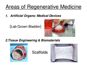 Medicine-Regenerative-02-goog