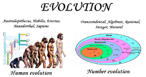 Evolution-Humans-Numbers-01-goog